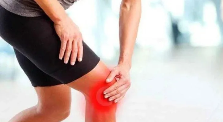 Home 5 Untitled design 14