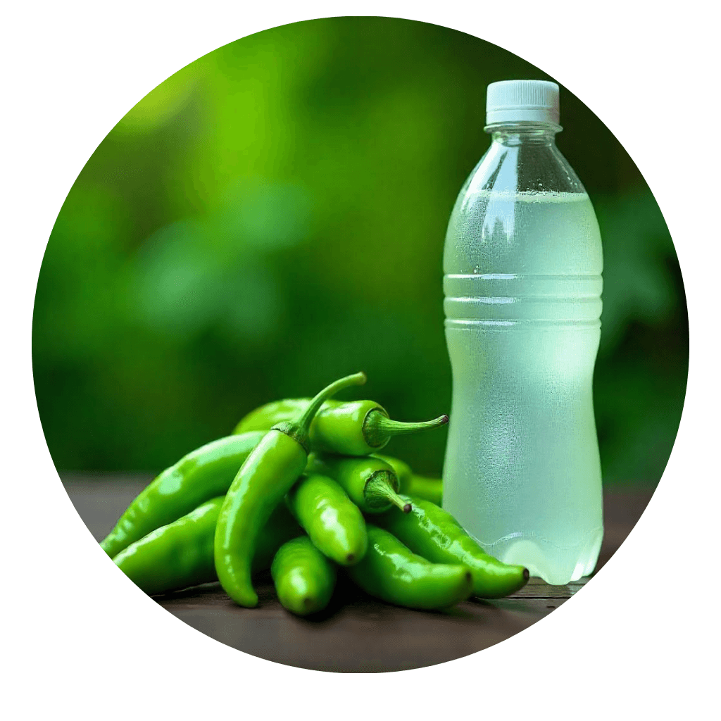 شوگر کا روحانی علاج – Diabetes ka Rohani Ilaj (100% Qurani Wazaif) 5 green chilies and 0.5 liter water on the wooden table
background green blur